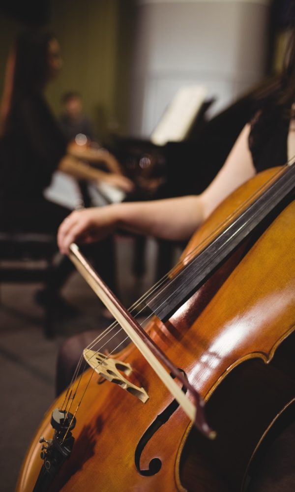 Mid-section of female student playing double bass in a studio